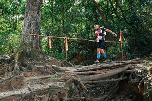 BIB: 
                            <button type="button" onclick="openModal(27801955)" class="btn btn-primary btn-sm float-right btn-popup" data-toggle="modal" data-target=".modal-high-quality">
                        <i class="fas fa-shopping-cart"></i> Add to Cart
                    </button>
                                            <button type="button" onclick="isThisMe(27801955, true)" class="btn btn-success btn-sm float-right btn-popup btn-isme hidden" data-toggle="tooltip" data-placement="bottom" title="นี่คือรูปของคุณใช่ไหม คลิกที่นี่เพื่อเอาเข้าอัลบั้ม">
                        <i class="fas fa-plus"></i> Add to album
                    </button>
                    <button type="button" onclick="isThisMe(27801955, false)" class="btn btn-warning btn-sm float-right btn-popup btn-isnotme hidden">
                        <i class="fas fa-ban"></i> Remove from album
                    </button>